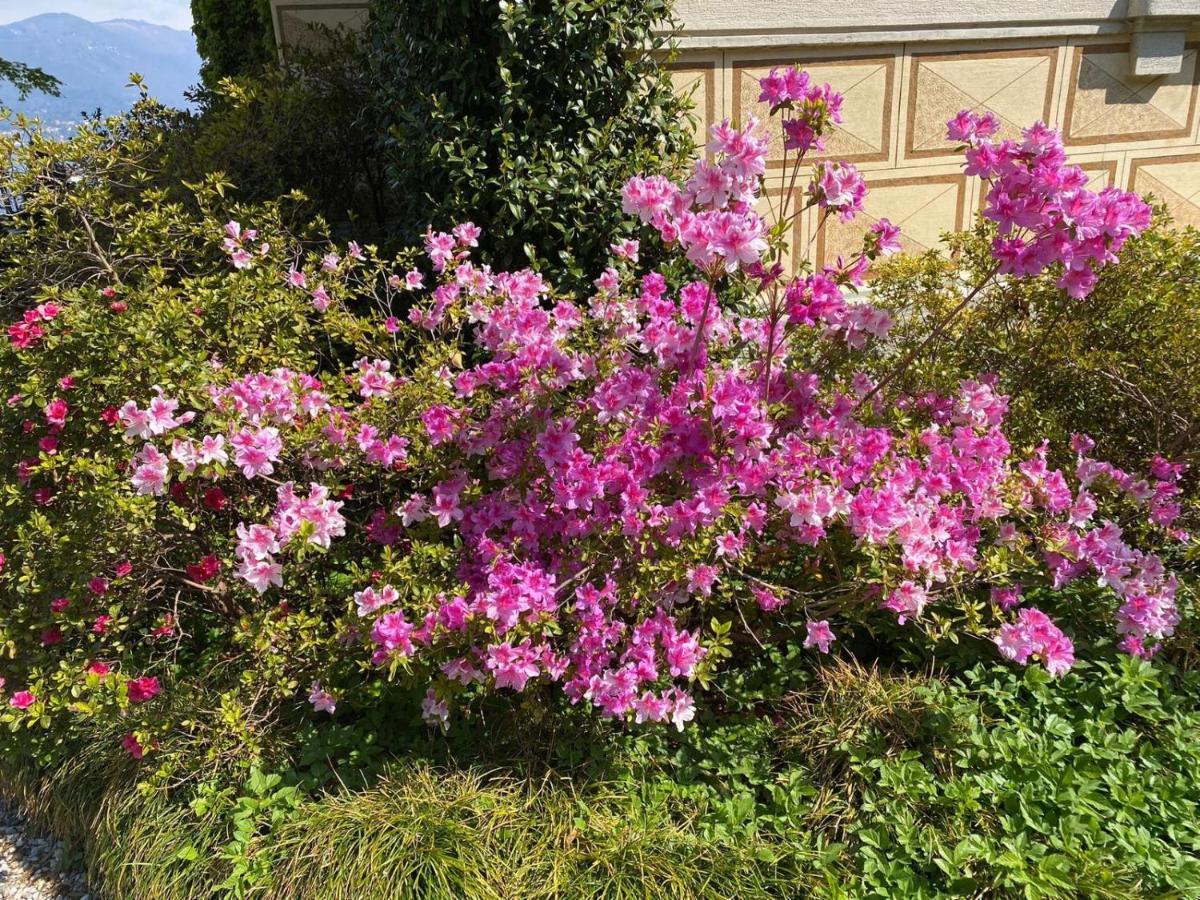 Villino Tarlarini Villa Laveno-Mombello Luaran gambar